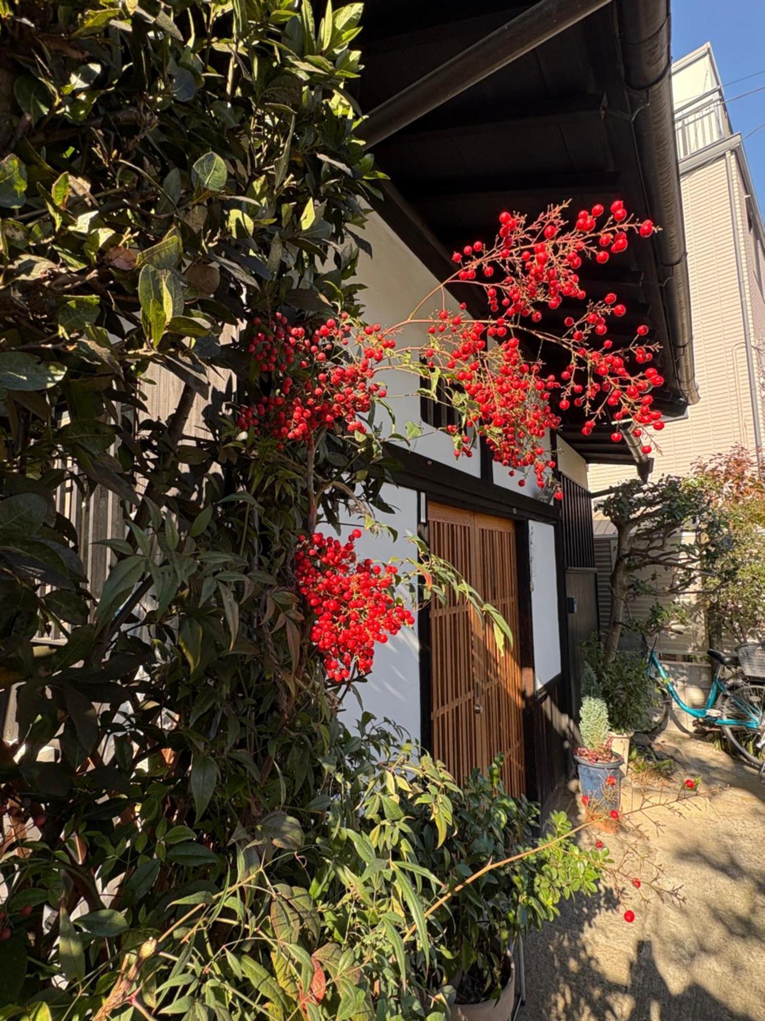 Kitazawa Cozy House Pensión