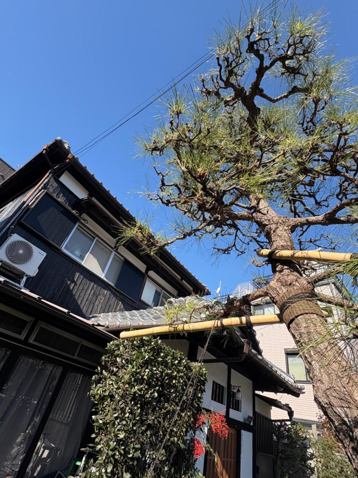 Kitazawa Cozy House Pensión Tokio